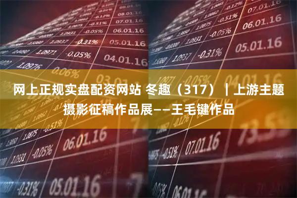 网上正规实盘配资网站 冬趣（317）｜上游主题摄影征稿作品展——王毛键作品