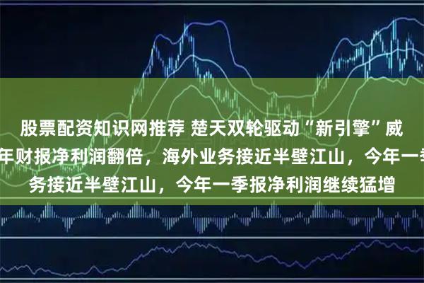 股票配资知识网推荐 楚天双轮驱动“新引擎”威力渐显！公司2025年财报净利润翻倍，海外业务接近半壁江山，今年一季报净利润继续猛增